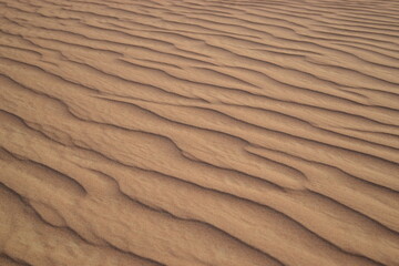 ripples in the sand