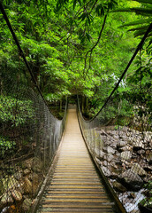 Front perspective of the suspension bridge over the rocky stream at Minnamurra Rainforest in Budderoo National Park, Jamberoo, NSW, Australia. - obrazy, fototapety, plakaty