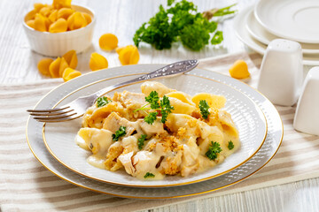 cheesy and creamy chicken and shells pasta bake