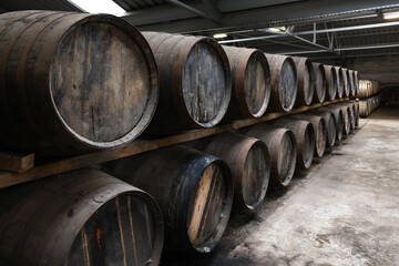 Oak barrels in a whiskey distillery