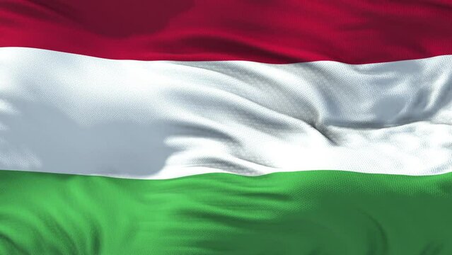 Hungary Flag Seamless Loop. 3D animation.