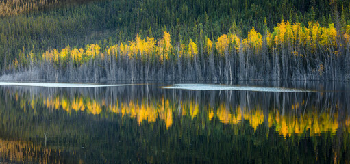 Landscape with lake and boreal forest in autumn colors, Yukon Territory Canada