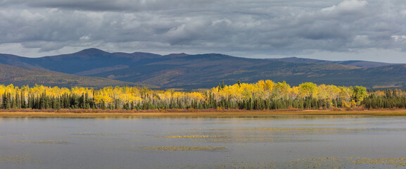 Landscape in panorama format with mountains, lake and boreal forest in autumn colors, Yukon...