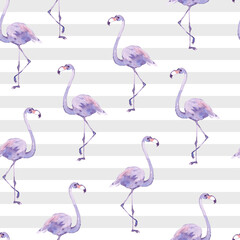 set of flamingos