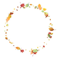 Leaves Falling Autumn Foliage Chaotic Leaf Flying