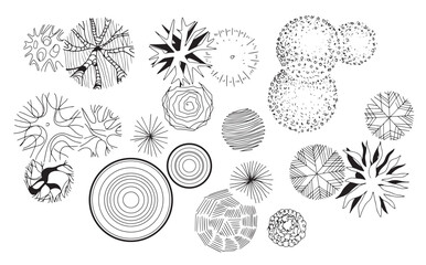 Landscape trees in terms of graphics hand drawn architectural design of the site decoration shrubs sketchy set large on a white background black and white doodle sketch