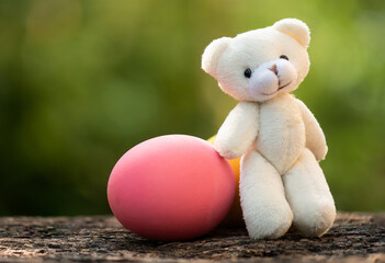 Easter eggs and old bear on nature boken background.
