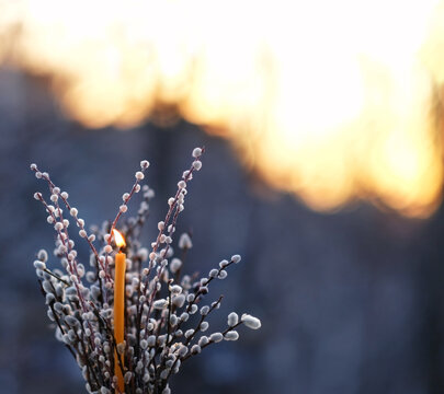 Burning candle and willow branches on abstract blurred natural dark background. Easter holiday, palm Sunday concept. symbol of orthodox Church, prayer, faith in God, religion. copy space - Powered by Adobe