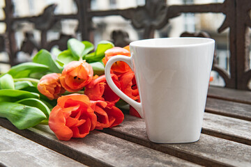 spring flowers tulips as a background
