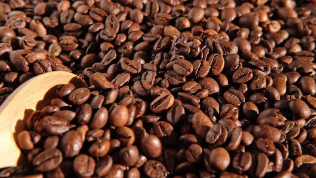 Wooden spoon picks up Coffee beans. Texture of coffee beans close up. Dark brown roasted coffee is spinning. Abundance. Coffee product advertising concept. Selective Focus. Border design. Copy space.