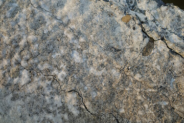 cracked cement texture wallpaper and background