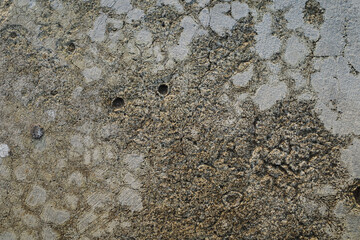 cracked cement texture wallpaper and background