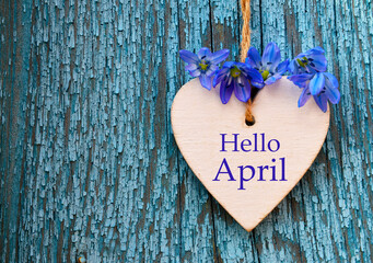 Hello April greeting card with blue first spring flowers on wood background. Springtime concept.Selective focus.