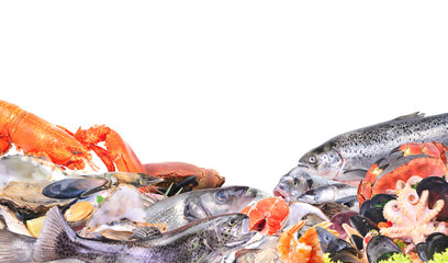 Fresh seafood frame isolated