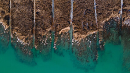 Landscape view of the green Balaton lake in Hungary. Drone view. Striped reeds along the waterfront.