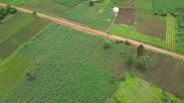 Rural village in Tanzania, Africa