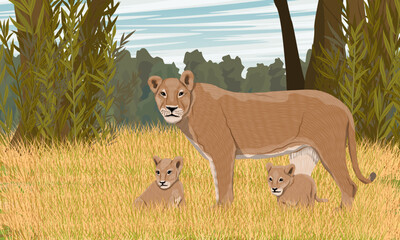 A lioness and two lion cubs are resting in the African savannah. African wild predators. Realistic vector landscape - obrazy, fototapety, plakaty
