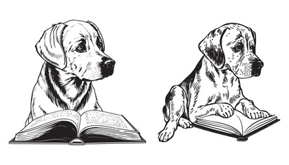 set of a seating cute dog reading book vector black outline silhouette isolated on white background.
