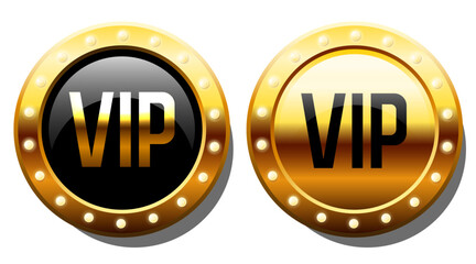 VIP badge or label. Vector set of gold medallions with the inscription vip. Vector clipart.