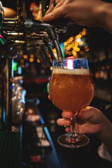 woman bartender hand at beer tap pouring a draught beer in glass serving in a restaurant or pub