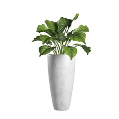 plant in a pot on transparent background PNG file.Floral arrangement, bouquet of garden flowers. Can be used for invitations, greeting, wedding card