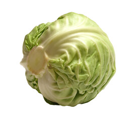 Fototapeta premium Fresh cabbage isolated 