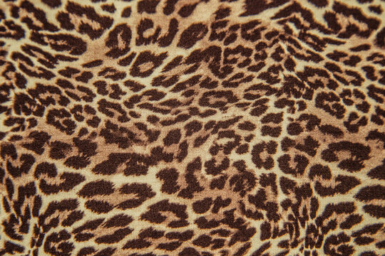 Leopard effect, fabric pattern. Background sample, seamless background print texture. Animal textil design.