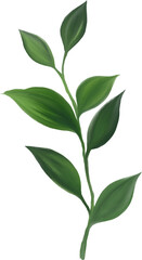 Watercolor gouache wild field botabical leaf foliage arrangement ornament hand drawn illustration