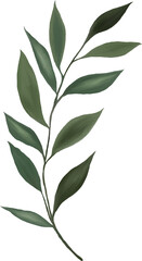 Watercolor gouache wild field botabical leaf foliage arrangement ornament hand drawn illustration