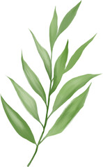 Watercolor gouache wild field botabical leaf foliage arrangement ornament hand drawn illustration