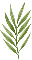 Watercolor gouache wild field botabical leaf foliage arrangement ornament hand drawn illustration