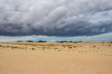 Fototapeta na wymiar Stormy weather at the desert, Fuerteventura