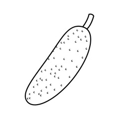 food, vegetables. black and white illustration (coloring book) of cucumber made by outline