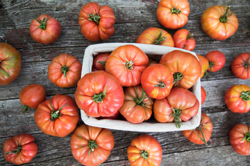 Tomatoes vegetable garden, organic products