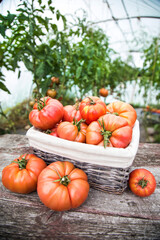 Vegetables, Tomatoes,  on desk in garden