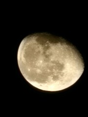 Fototapeta premium moon