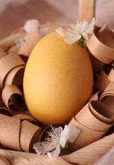 easter eggs and flowers