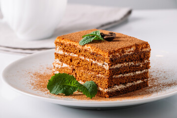 Tiramisu dessert and coffee cup on light background.