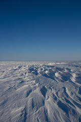 Beautiful patterns of sastrugi, parallel wavelike ridges caused by winds on surface of hard snow, with a blue sky, near Arviat, Nunavut, Canada. 