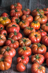 Red Tomatoes in a Greenhouse, organic food