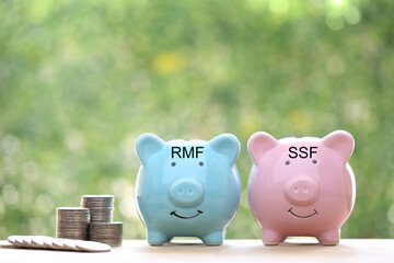 Finance, Piggy bank and coins money on natural green background, investment and business concept