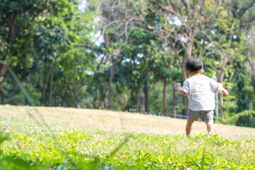 Toddler asian boy first walking on meadow in city park