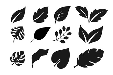 collection of leaf designs in silhouette style on white isolated background.