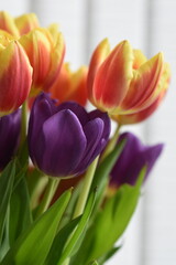 bouquet of tulips