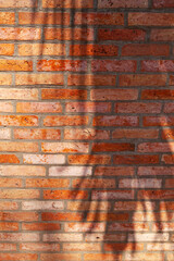 Palm tree shadow on a new red brick wall on a sunny day. Foliage shadows on a brick fence in a tropical garden