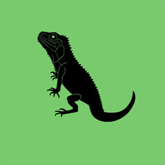 Vector iguana silhouette. Iguana silhouette icon isolated on green background.