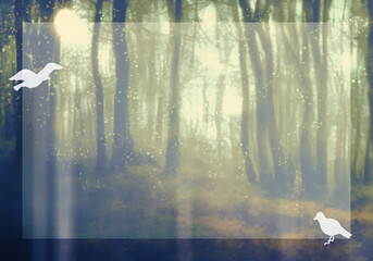神秘的な明るい森と白い鳥テキストエリア付き背景（ブルー）