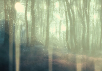 神秘的な明るい森背景イラスト（グリーン）