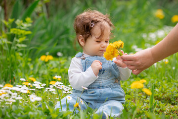 Happy little baby girl sitting on a green meadow with yellow flowers dandelions on the nature in the park