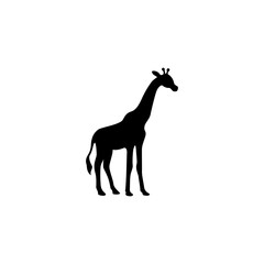 Fototapeta premium giraffe vector illustration for a logo,icon or symbol. giraffe silhouette